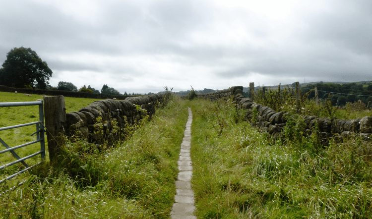 A path stretches ahead between stone walls and long grass on the Derwent Valley Heritage Way walking holiday